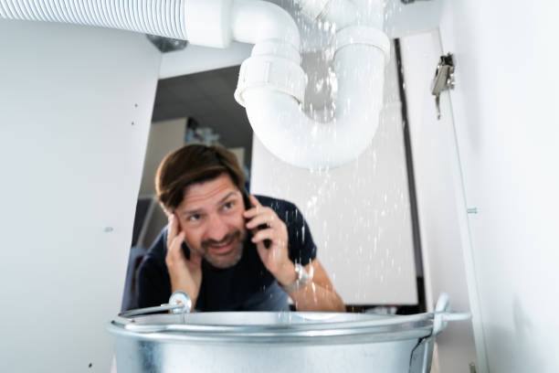 Best Affordable Plumber Near Me  in Clarendon Hls, IL